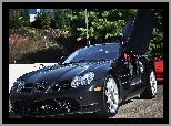 Drzewa, Mercedes Benz SLR McLaren, Ulica